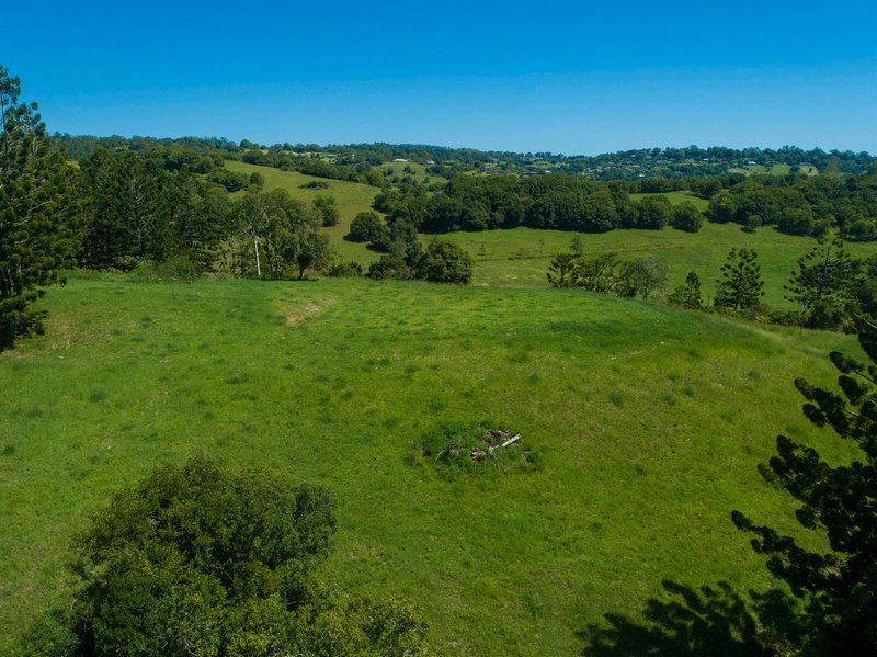 Photo - Mcleans Ridges NSW 2480 - Image 8
