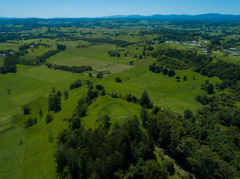 Photo - Mcleans Ridges NSW 2480 - Image 9
