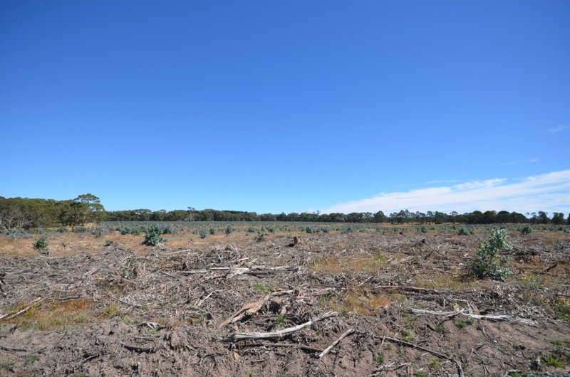 Photo - "McVeigh" Mount Mercer - Dereel Road, Dereel VIC 3352 - Image 6