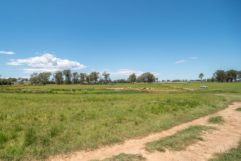 Photo - Melton Downs Barnes Road, Allenview QLD 4285 - Image 4