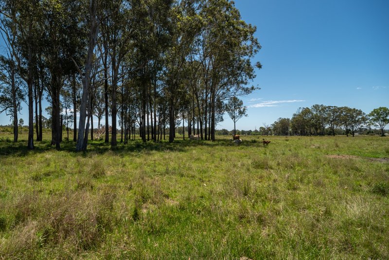 Photo - Melton Downs Barnes Road, Allenview QLD 4285 - Image 5