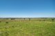 Photo - Melton Downs Barnes Road, Allenview QLD 4285 - Image 12