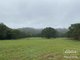 Photo - Millaa Millaa QLD 4886 - Image 3