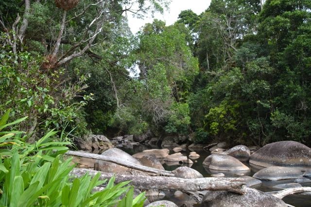 Photo - Millaa Millaa QLD 4886 - Image 13