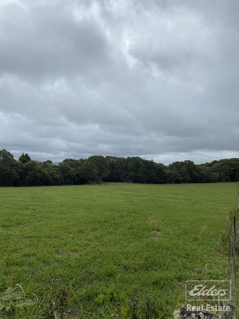 Photo - Millaa Millaa QLD 4886 - Image 16