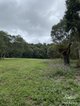 Photo - Millaa Millaa QLD 4886 - Image 17