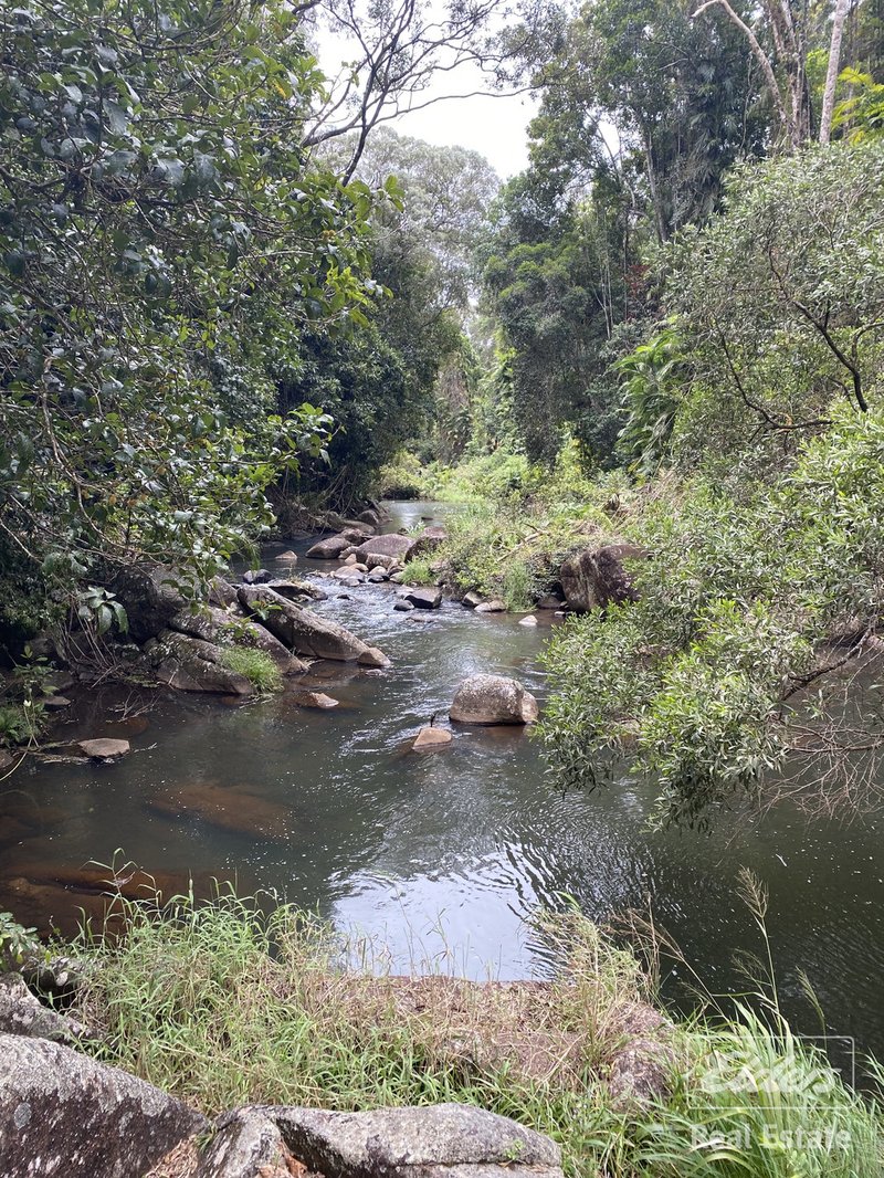 Photo - Millaa Millaa QLD 4886 - Image 18