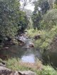 Photo - Millaa Millaa QLD 4886 - Image 18