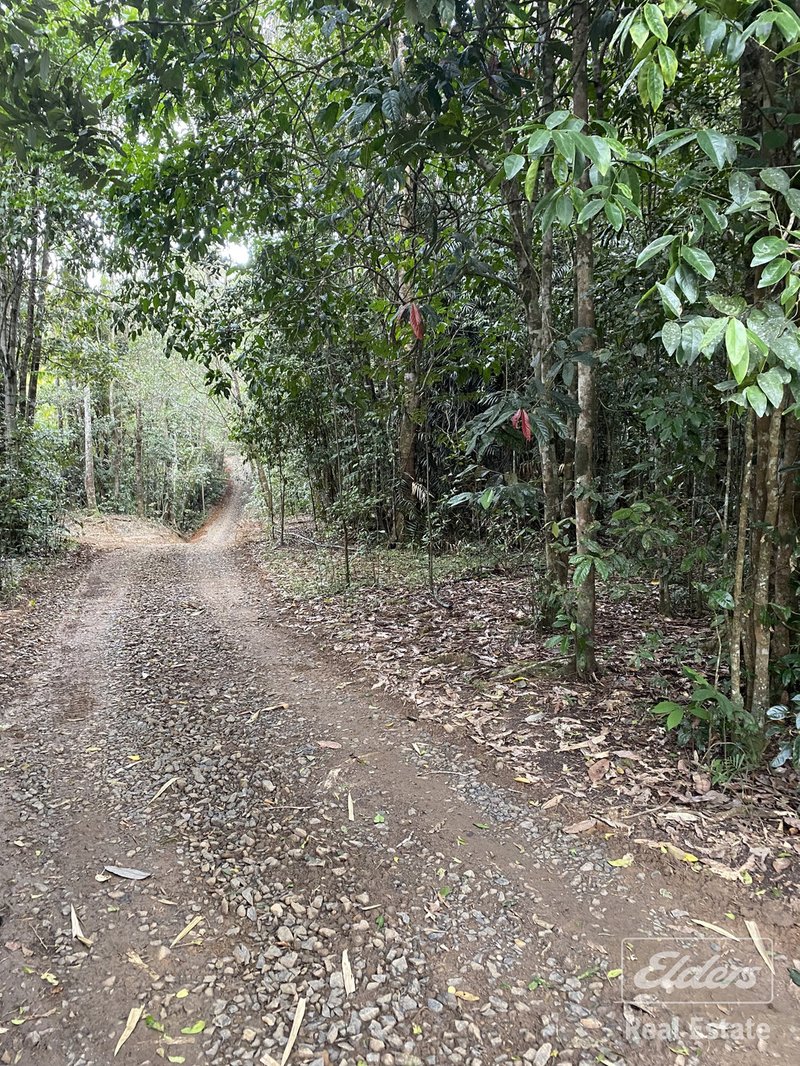 Photo - Millaa Millaa QLD 4886 - Image 19