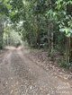 Photo - Millaa Millaa QLD 4886 - Image 19