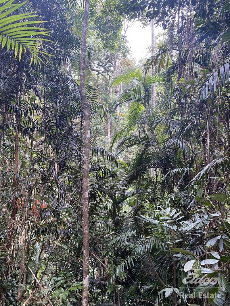 Photo - Millaa Millaa QLD 4886 - Image 20