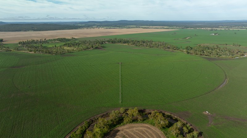 "Millbrook" Meara Road, Ellangowan QLD 4361