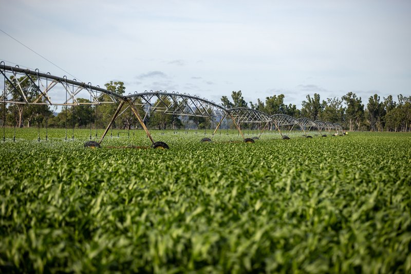 Photo - "Millbrook" Meara Road, Ellangowan QLD 4361 - Image 5