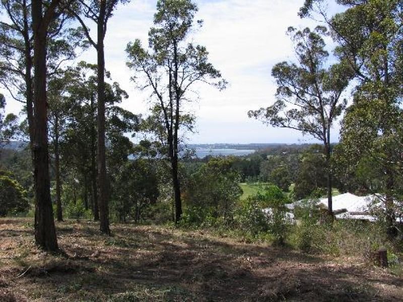 Photo - Millingandi NSW 2549 - Image 6