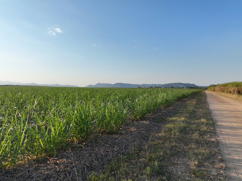 Photo - Mirani QLD 4754 - Image 8