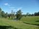 Photo - Mondrook NSW 2430 - Image 6