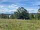 Photo - Mondrook NSW 2430 - Image 10