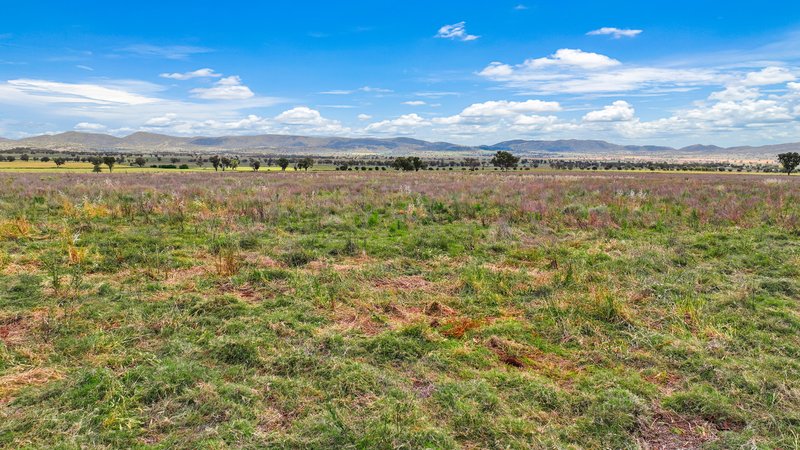 Photo - 'Monterey' 805 Soldiers Settlement Road, Tamworth NSW 2340 - Image 20