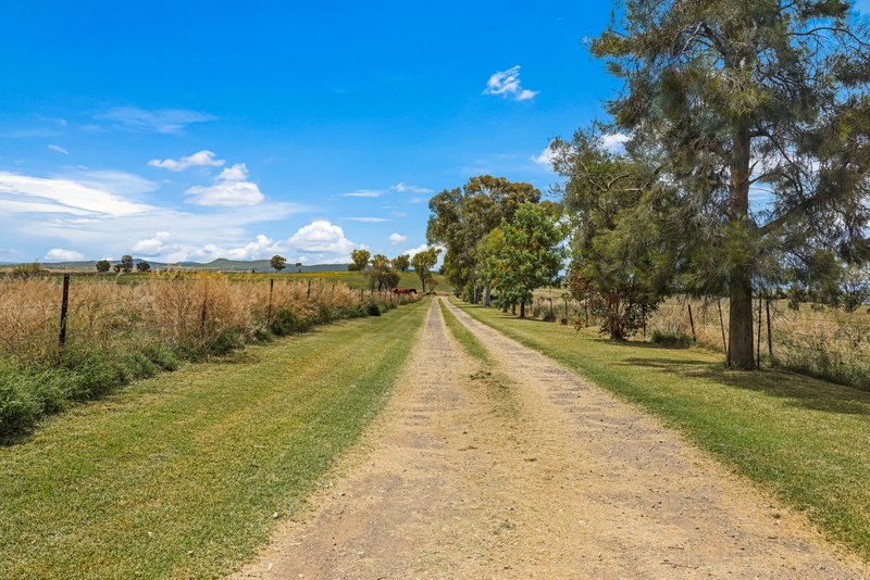 Photo - 'Monterey' 805 Soldiers Settlement Road, Tamworth NSW 2340 - Image 23