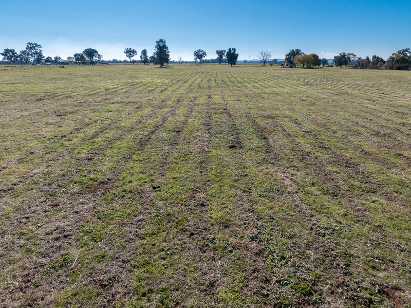 Photo - 'Monterey Park' 76 Noonbinna East Road, Cowra NSW 2794 - Image 19