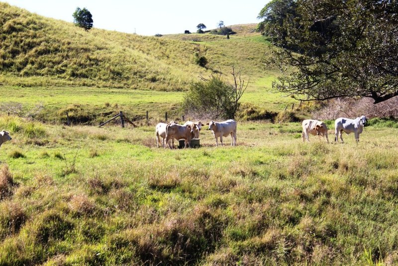 Photo - Mooloo QLD 4570 - Image 11