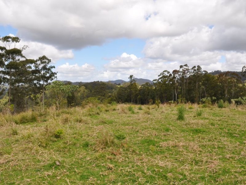 Photo - Mooral Creek NSW 2429 - Image 10