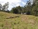 Photo - Mooral Creek NSW 2429 - Image 13