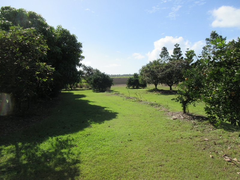 Photo - Moore Park Beach QLD 4670 - Image 27