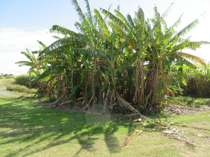 Photo - Moore Park Beach QLD 4670 - Image 28