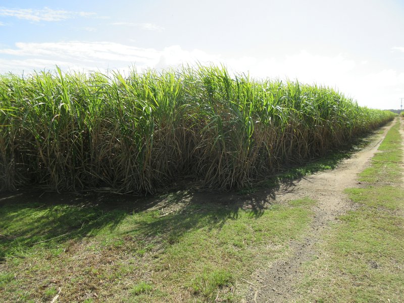 Photo - Moore Park Beach QLD 4670 - Image 32