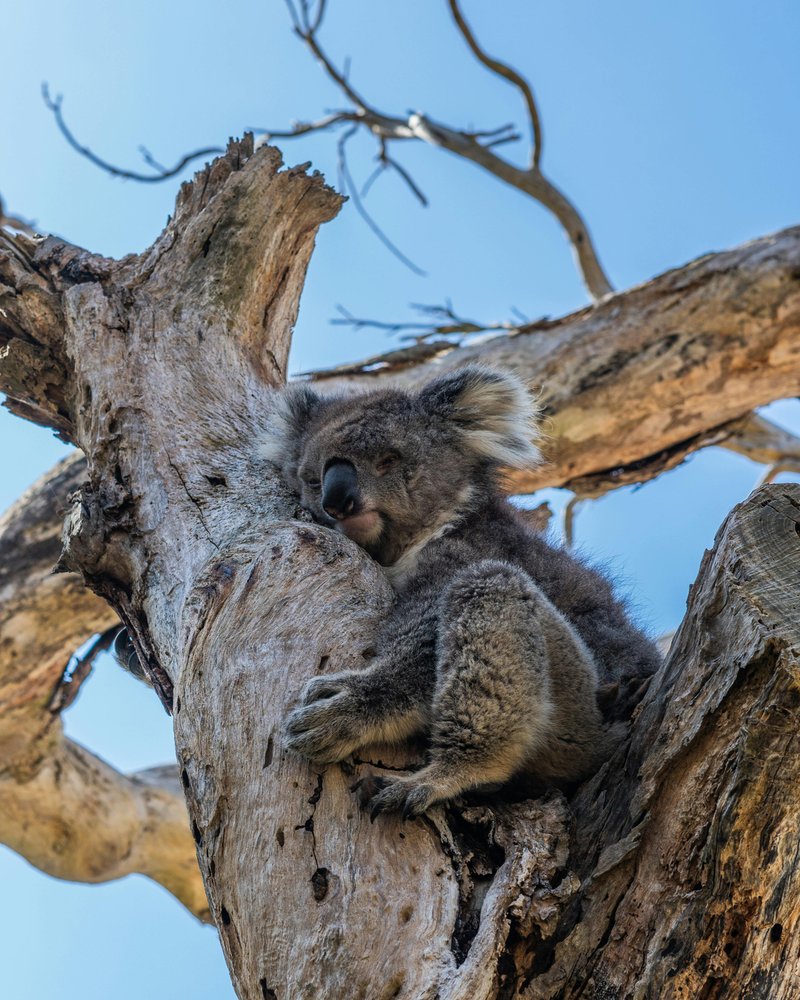 Photo - Morayfield QLD 4505 - Image 7