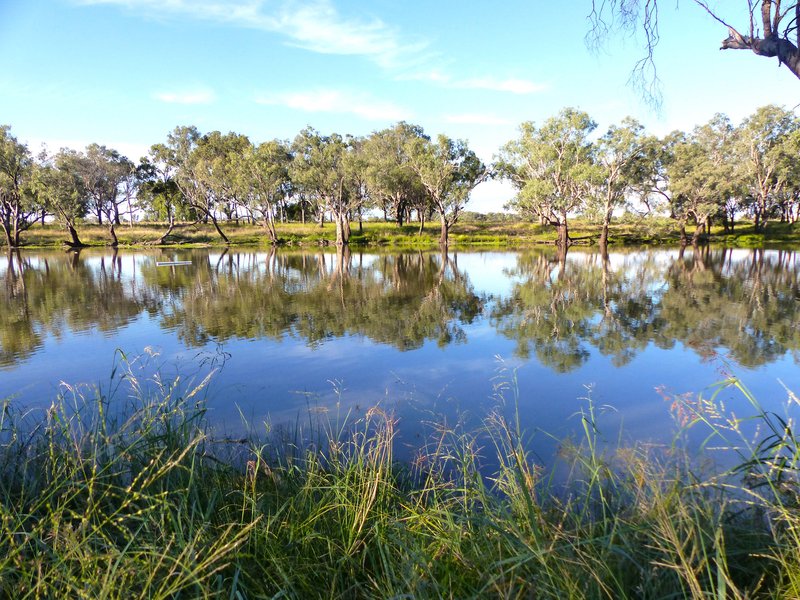 Photo - 'Moriah' 671 Hopelands School Road, Chinchilla QLD 4413 - Image 26