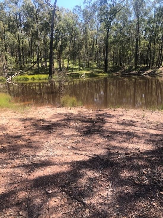 Mosquito Creek Rd , Canning Creek QLD 4357