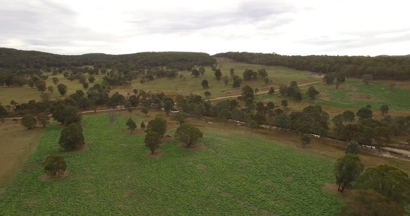 Photo - Mossgrove 59 Tanners Road, Wollomombi NSW 2350 - Image