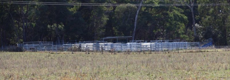 Photo - Mossgrove 59 Tanners Road, Wollomombi NSW 2350 - Image 7