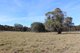 Photo - Mossgrove 59 Tanners Road, Wollomombi NSW 2350 - Image 8