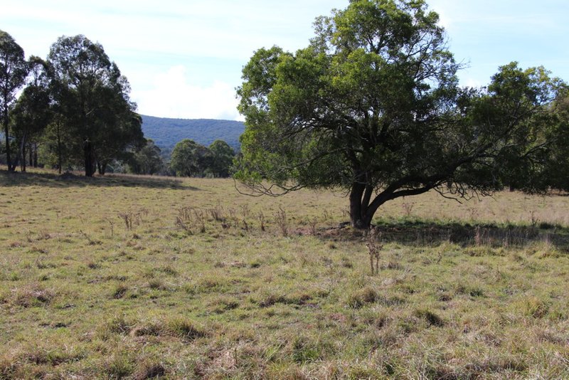 Photo - Mossgrove 59 Tanners Road, Wollomombi NSW 2350 - Image 10