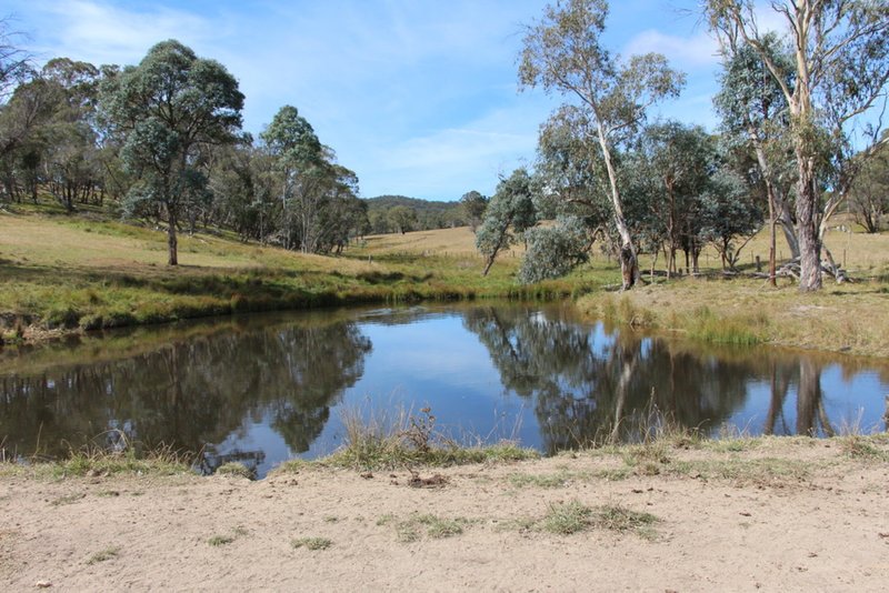 Photo - Mossgrove 59 Tanners Road, Wollomombi NSW 2350 - Image 13