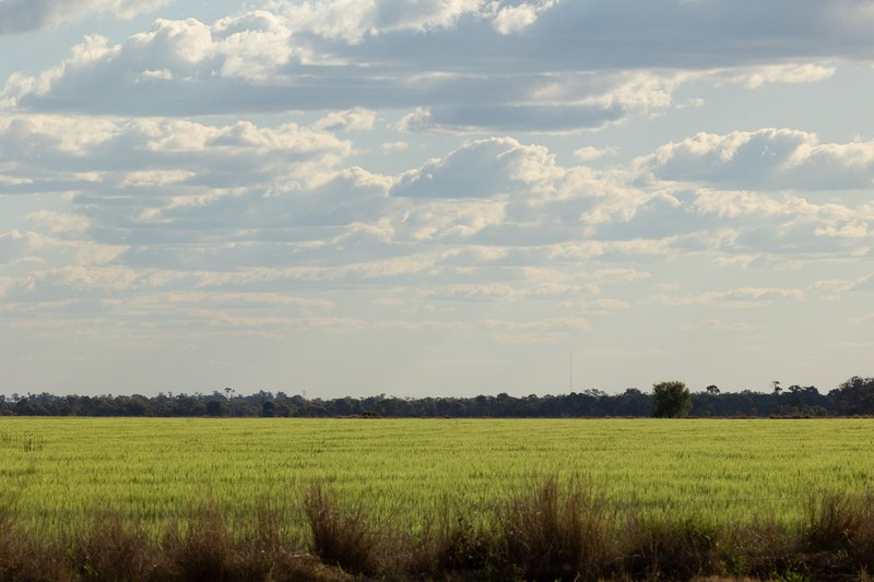 Photo - "Mossleigh" 744 Edgefield Road, Irvingdale QLD 4404 - Image 6