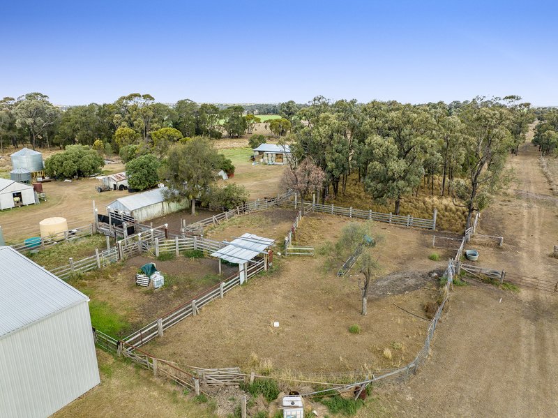 Photo - "Mossleigh" 744 Edgefield Road, Irvingdale QLD 4404 - Image 9