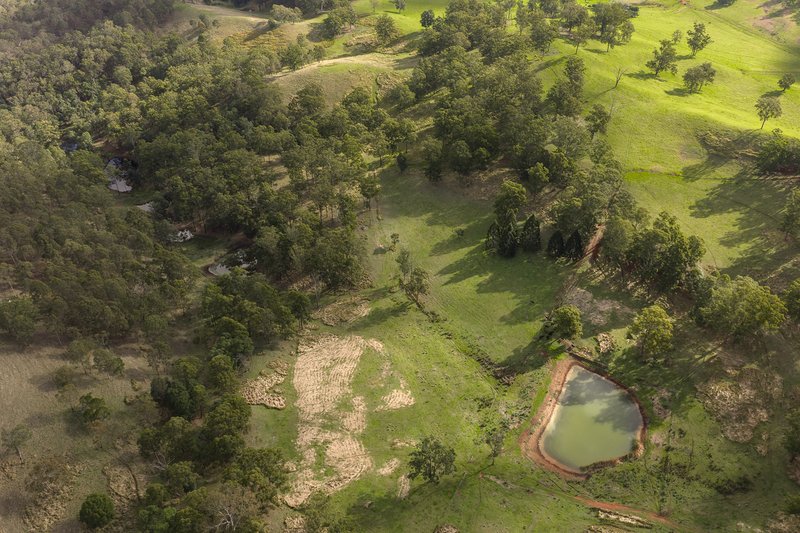 Photo - "Mount Albion" 203 Collingwood Road, Hampton QLD 4352 - Image 3