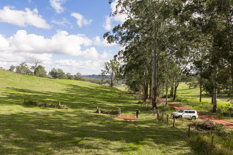 Photo - "Mount Albion" 203 Collingwood Road, Hampton QLD 4352 - Image 4