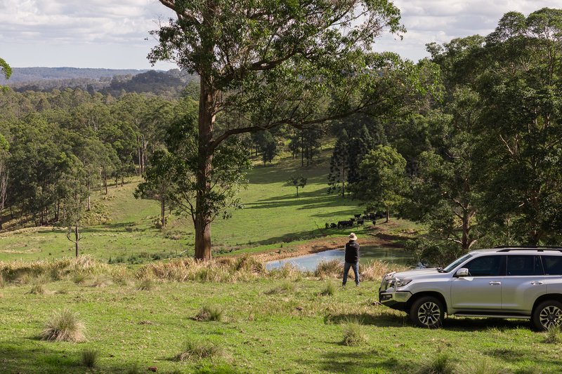 Photo - "Mount Albion" 203 Collingwood Road, Hampton QLD 4352 - Image 6