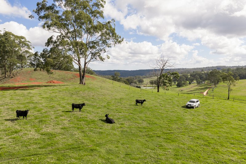 Photo - "Mount Albion" 203 Collingwood Road, Hampton QLD 4352 - Image 8