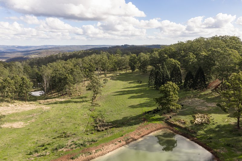 Photo - "Mount Albion" 203 Collingwood Road, Hampton QLD 4352 - Image 9
