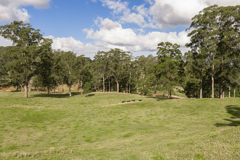 Photo - "Mount Albion" 203 Collingwood Road, Hampton QLD 4352 - Image 13