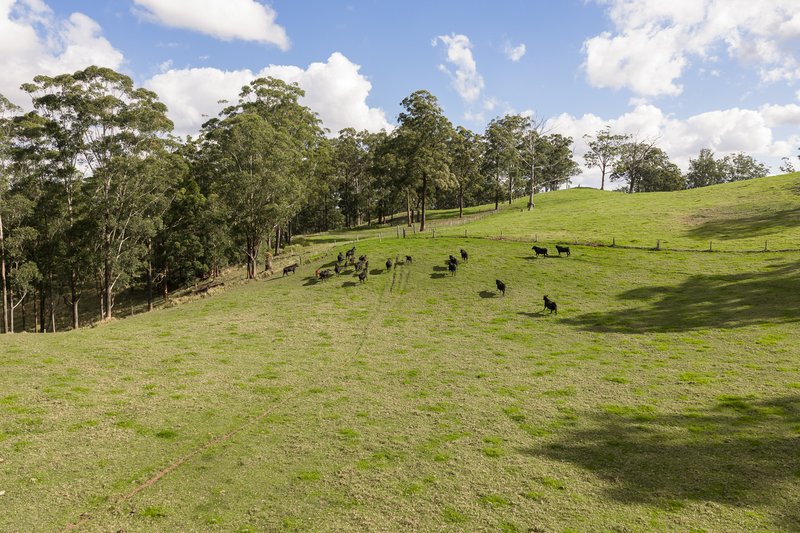 Photo - "Mount Albion" 203 Collingwood Road, Hampton QLD 4352 - Image 14