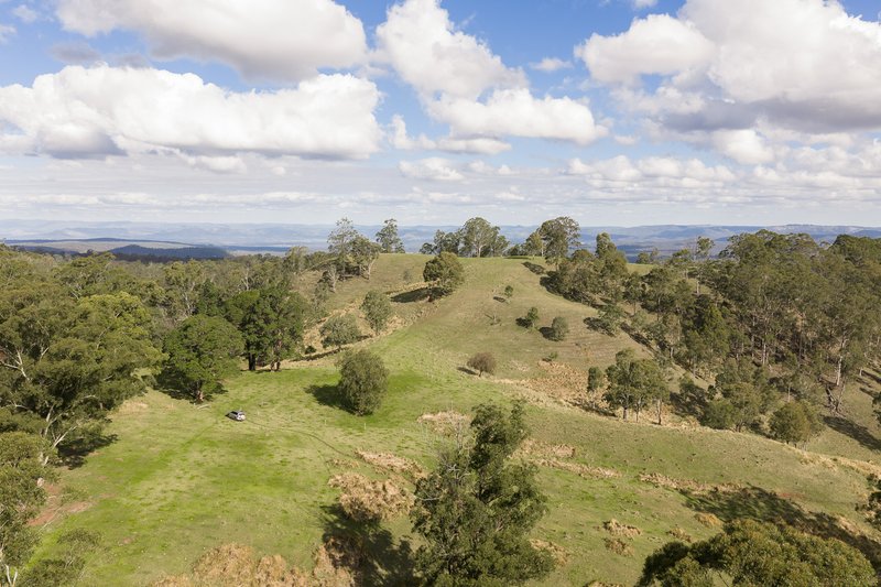Photo - "Mount Albion" 203 Collingwood Road, Hampton QLD 4352 - Image 15