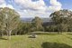 Photo - "Mount Albion" 203 Collingwood Road, Hampton QLD 4352 - Image 17