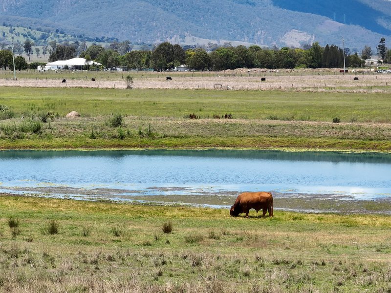 Photo - Mount Beppo QLD 4313 - Image 2